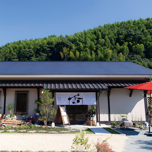 Greentea.Lab お茶の定期便［ティーバッグ］